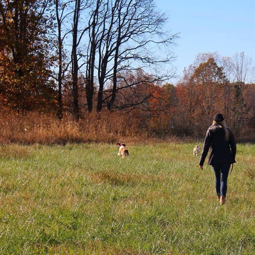 Meet your Posher, Alexa
